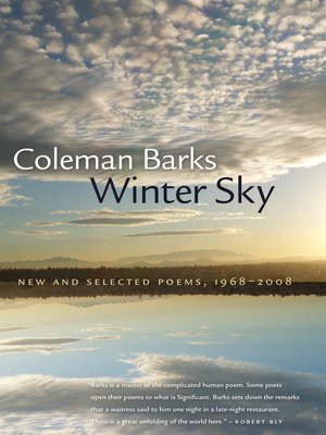 cover image of Winter Sky